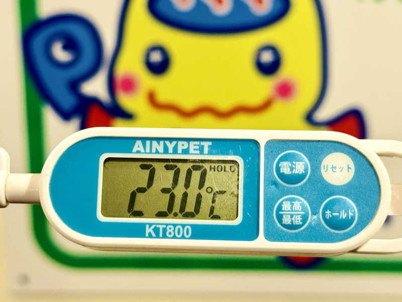 ちーにぃ@赤頭巾さんのまちなか温泉青森センターホテルのサ活写真