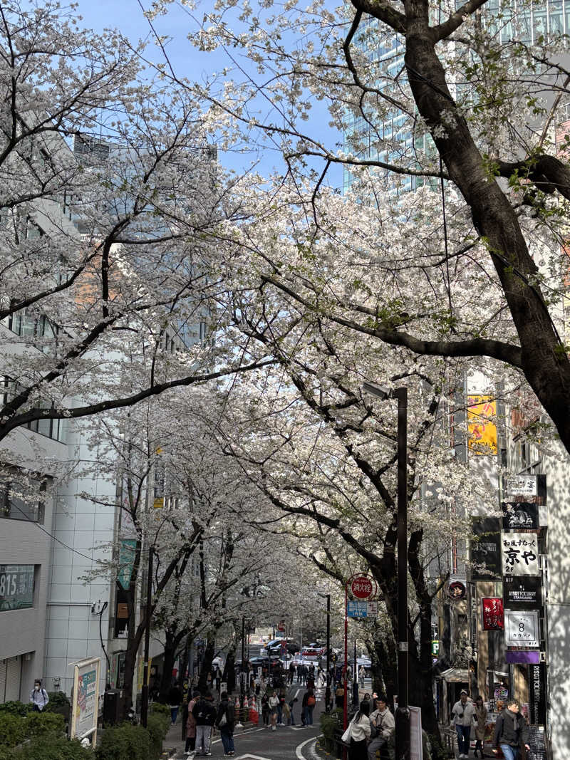 Konekoさんの渋谷SAUNASのサ活写真