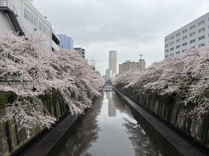 NECO(‘´ ω `’)〜♪さんのコナミスポーツクラブ 目黒青葉台のサ活写真