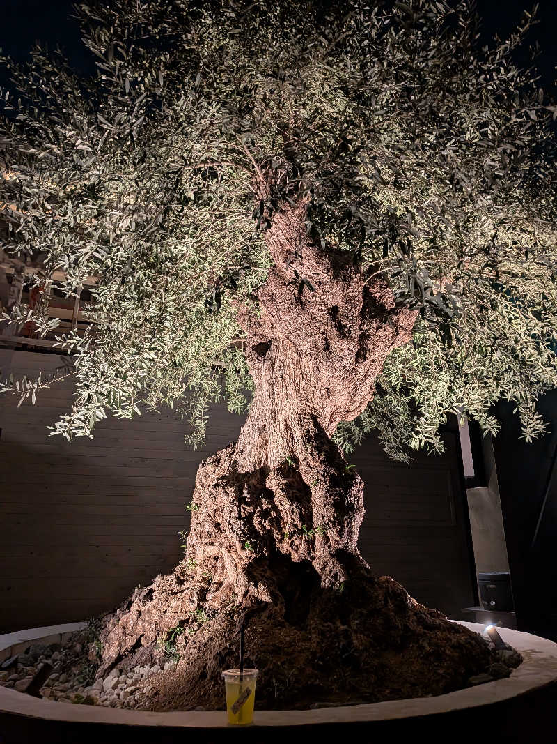 まぼさんさんのsauna kolme kylä (サウナ コルメ キュラ)のサ活写真