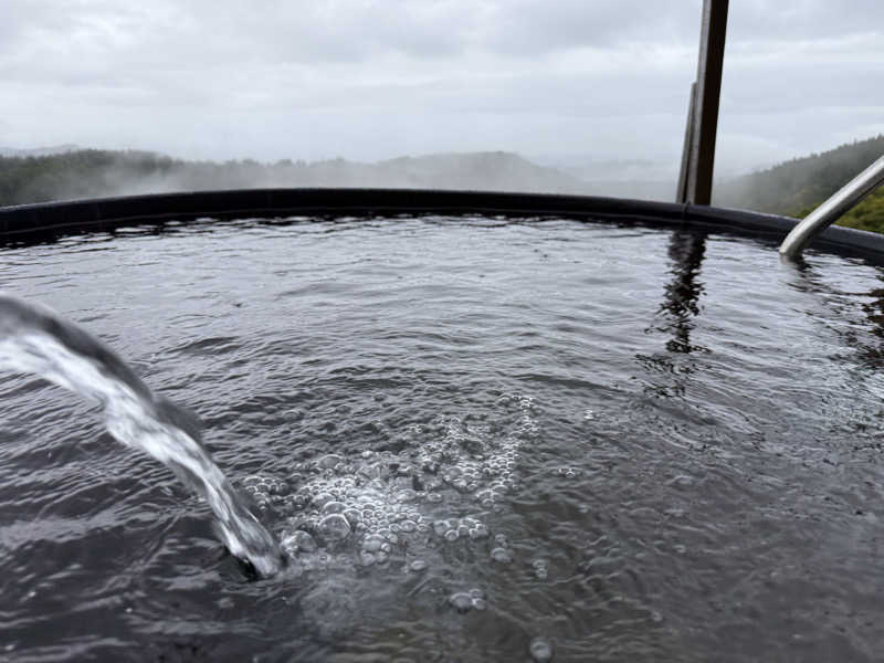 むしかわさんの鷹羽鉱泉のサ活写真