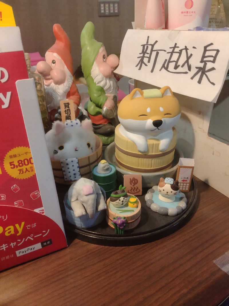 さなろほほさんの新越泉のサ活写真