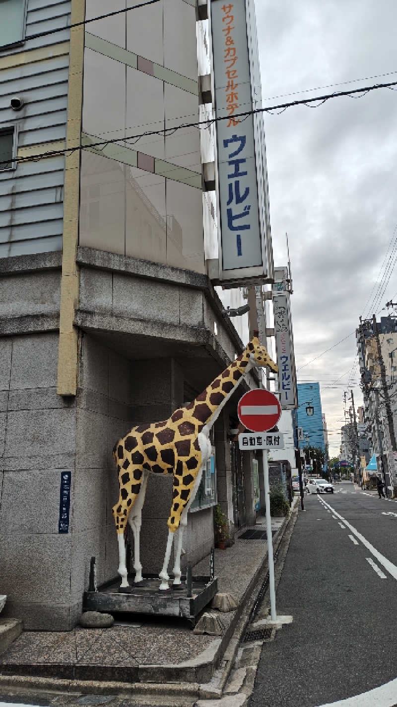 かんももさんのウェルビー今池のサ活写真