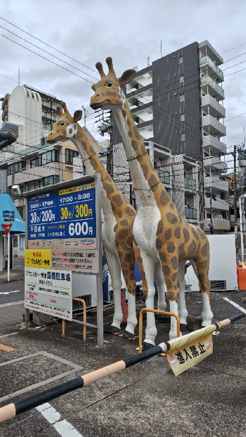 かんももさんのウェルビー今池のサ活写真