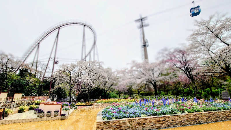 NORIさんのよみうりランド眺望温泉 花景の湯のサ活写真