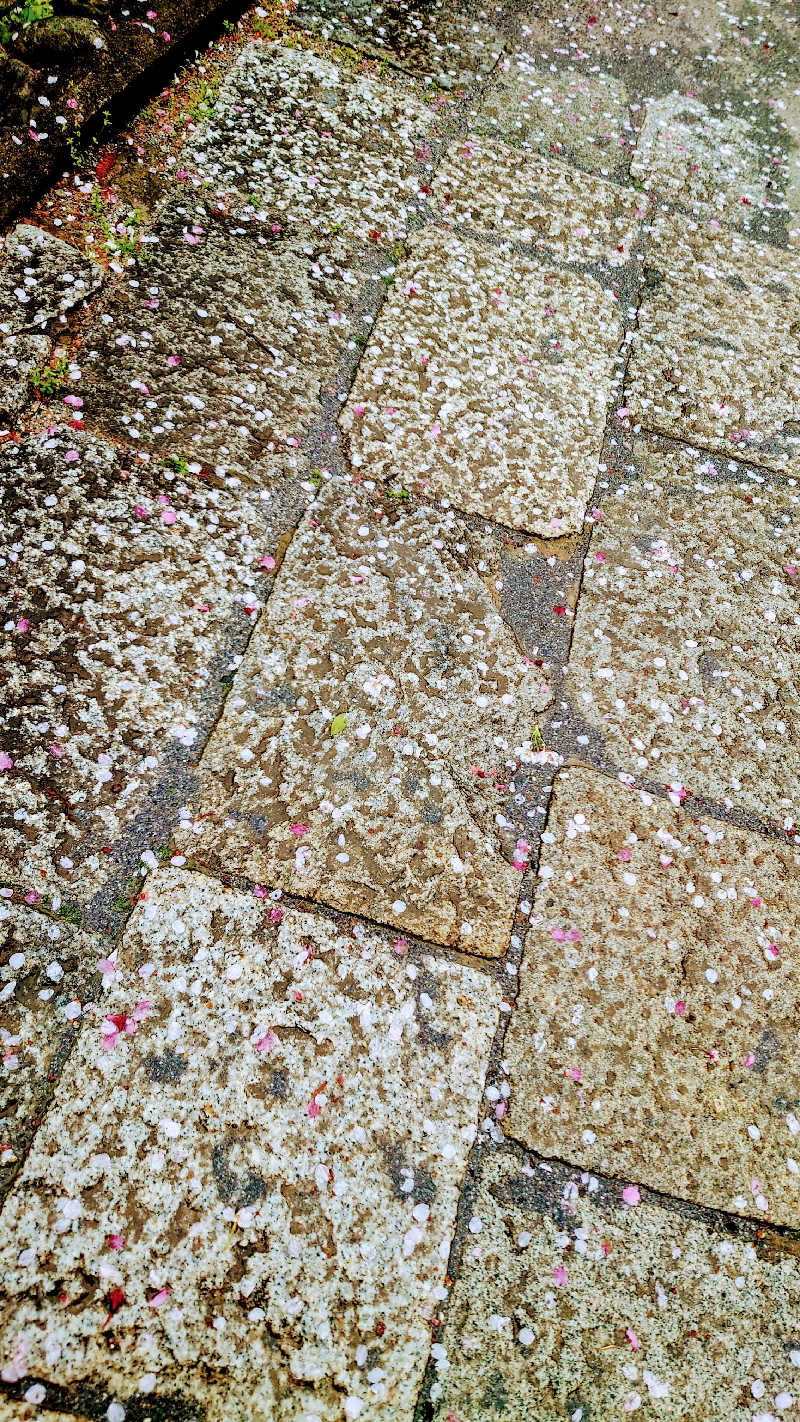 NORIさんのよみうりランド眺望温泉 花景の湯のサ活写真