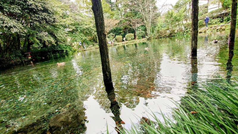 NORIさんの富士山天然水SPA サウナ鷹の湯のサ活写真