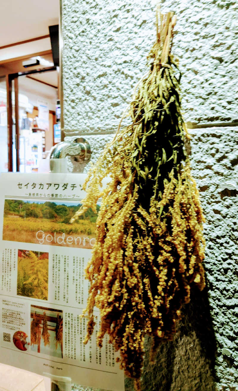 NORIさんの天然温泉 湯どんぶり栄湯のサ活写真