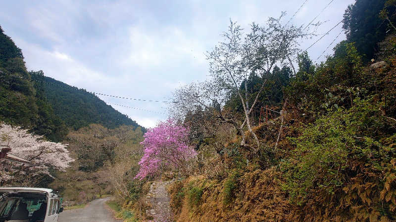 NORIさんの天子荘 てんからハウスのサ活写真