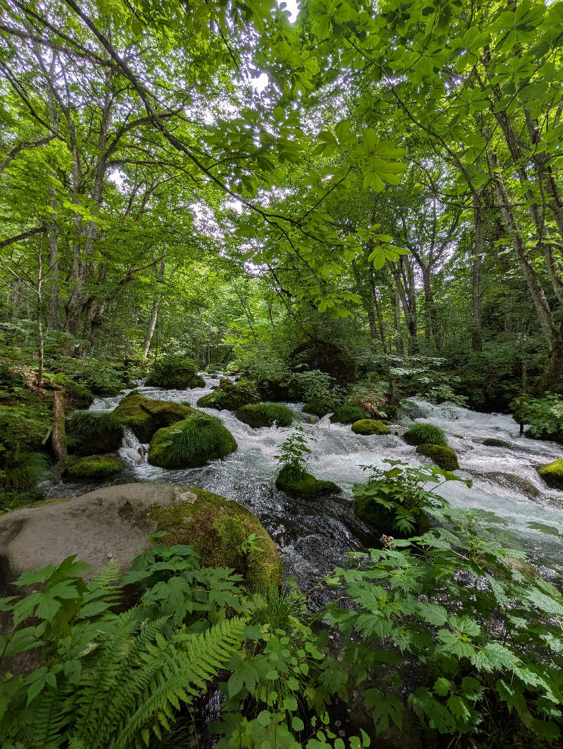 NORIさんの星降る山荘  七時雨山荘のサ活写真