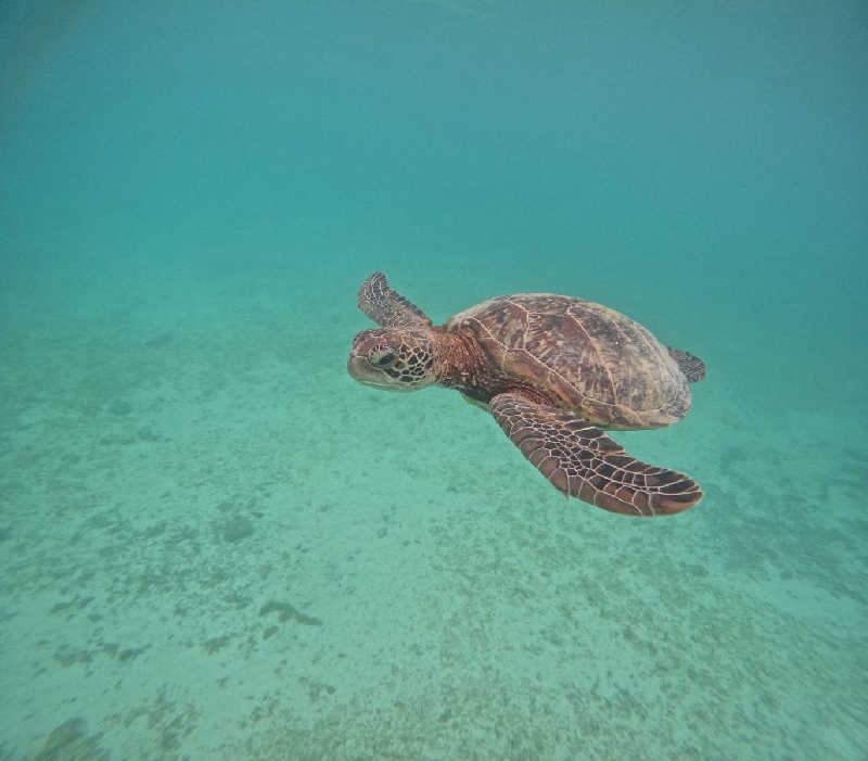 NORIさんのシギラ黄金温泉のサ活写真