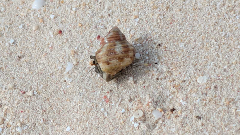 NORIさんのホテル シギラミラージュのサ活写真