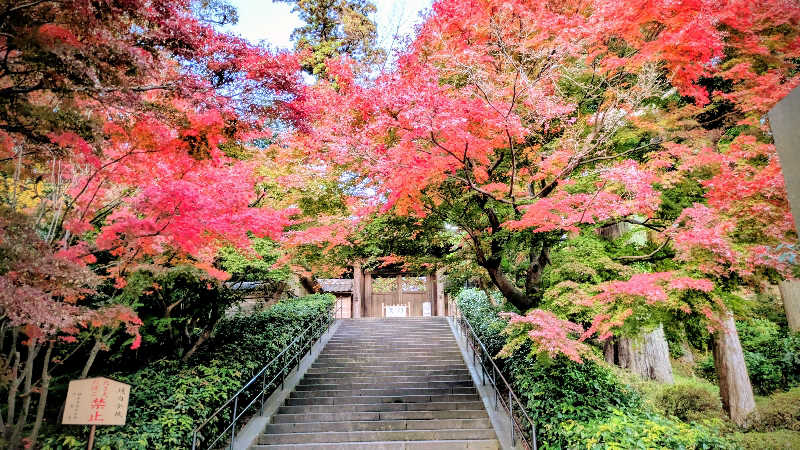 NORIさんの御成桑拿のサ活写真
