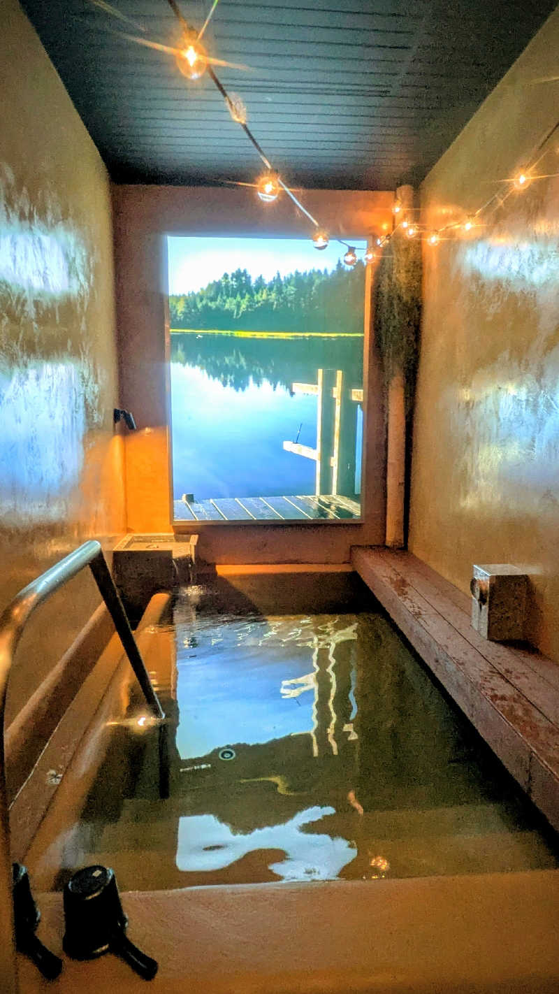 NORIさんの豊島園 庭の湯のサ活写真