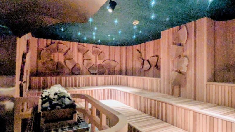 NORIさんの豊島園 庭の湯のサ活写真
