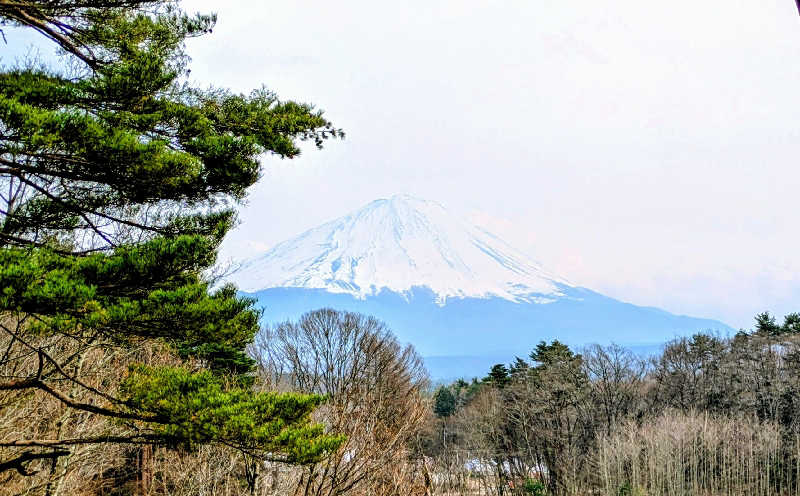 NORIさんの富士眺望の湯 ゆらりのサ活写真