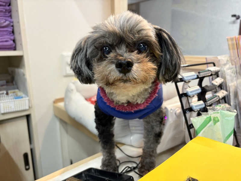 みどりさんのむらさき湯のサ活写真