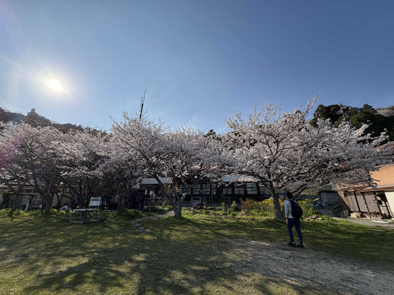 みどりさんの長命寺温泉 天葉の湯のサ活写真