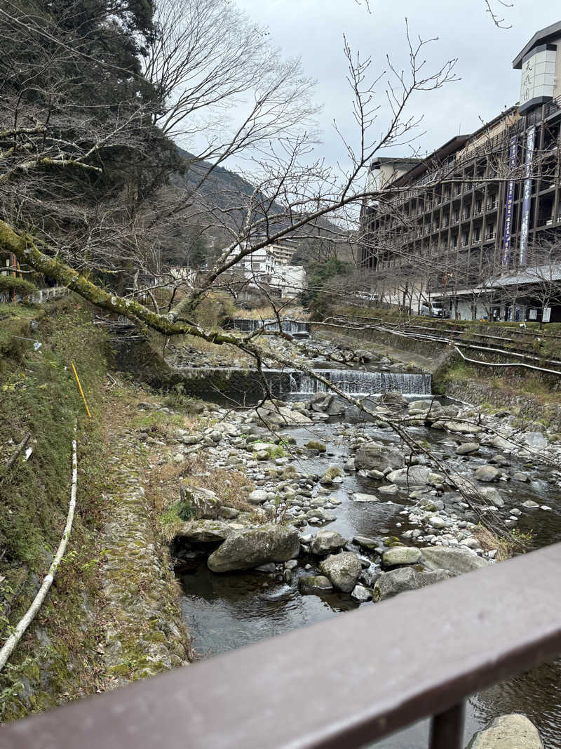 サウナするぽんたさんの箱根湯本温泉 天成園のサ活写真