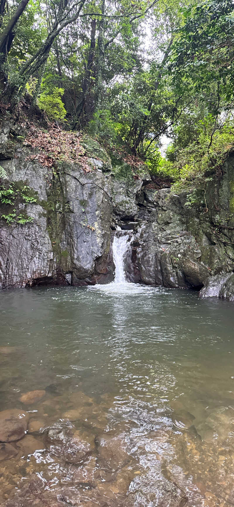 yuagariさんの二ノ丸温泉のサ活写真