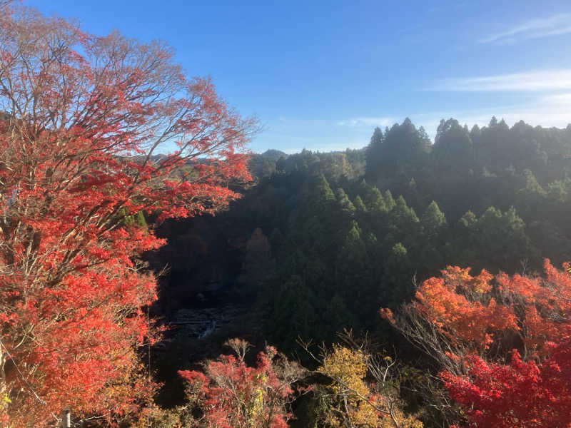 MDRさんの滝見苑けんこう村 ごりやくの湯のサ活写真