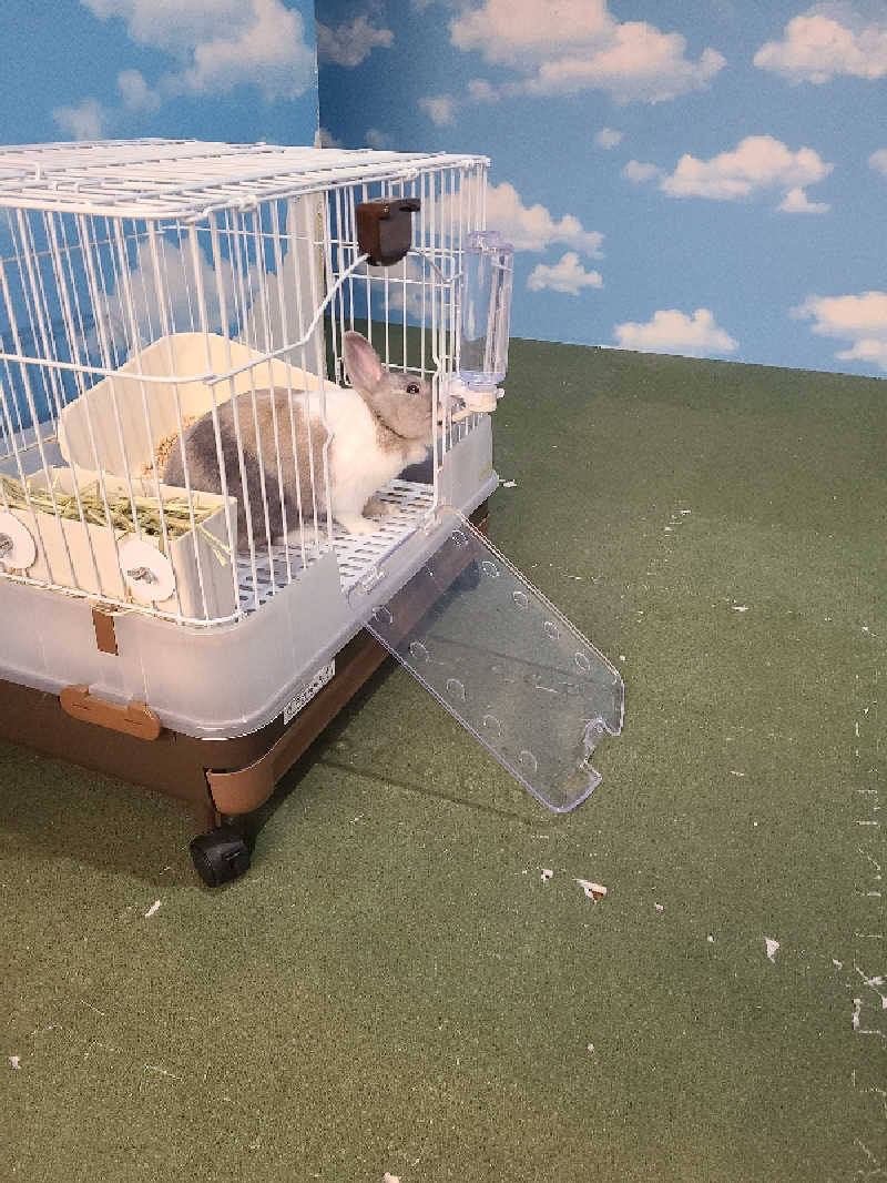 ニール37さんのアクアリゾート 岐阜ふじの湯のサ活写真