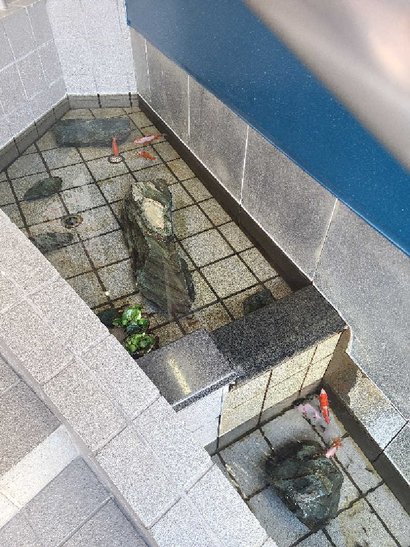 ニール37さんのぽかぽか温泉 新守山乃湯のサ活写真