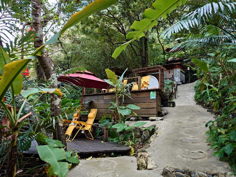 まほらさんの亜熱帯サウナのサ活写真