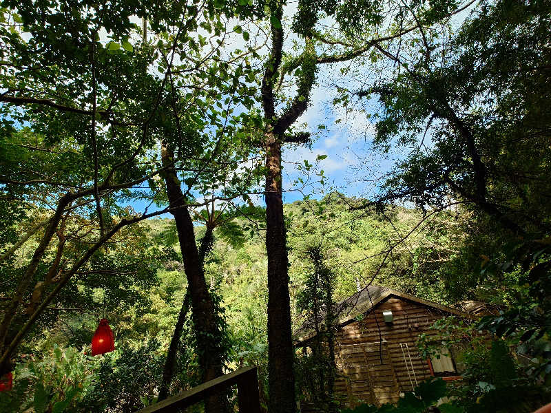 まほらさんの亜熱帯サウナのサ活写真