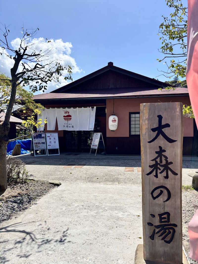 しゃっくりさんのきまち温泉 大森の湯のサ活写真