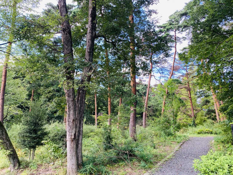 ハリネズミさんのSauna & Spa Green サウナ&スパ グリーン～愛宕山温泉～のサ活写真