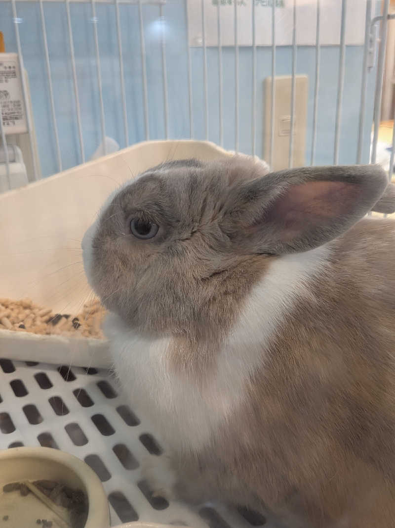 黒岩圭介さんのアクアリゾート 岐阜ふじの湯のサ活写真