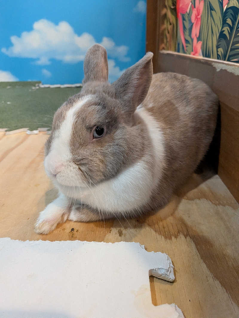 黒岩圭介さんのアクアリゾート 岐阜ふじの湯のサ活写真