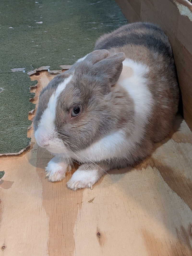 黒岩圭介さんのアクアリゾート 岐阜ふじの湯のサ活写真