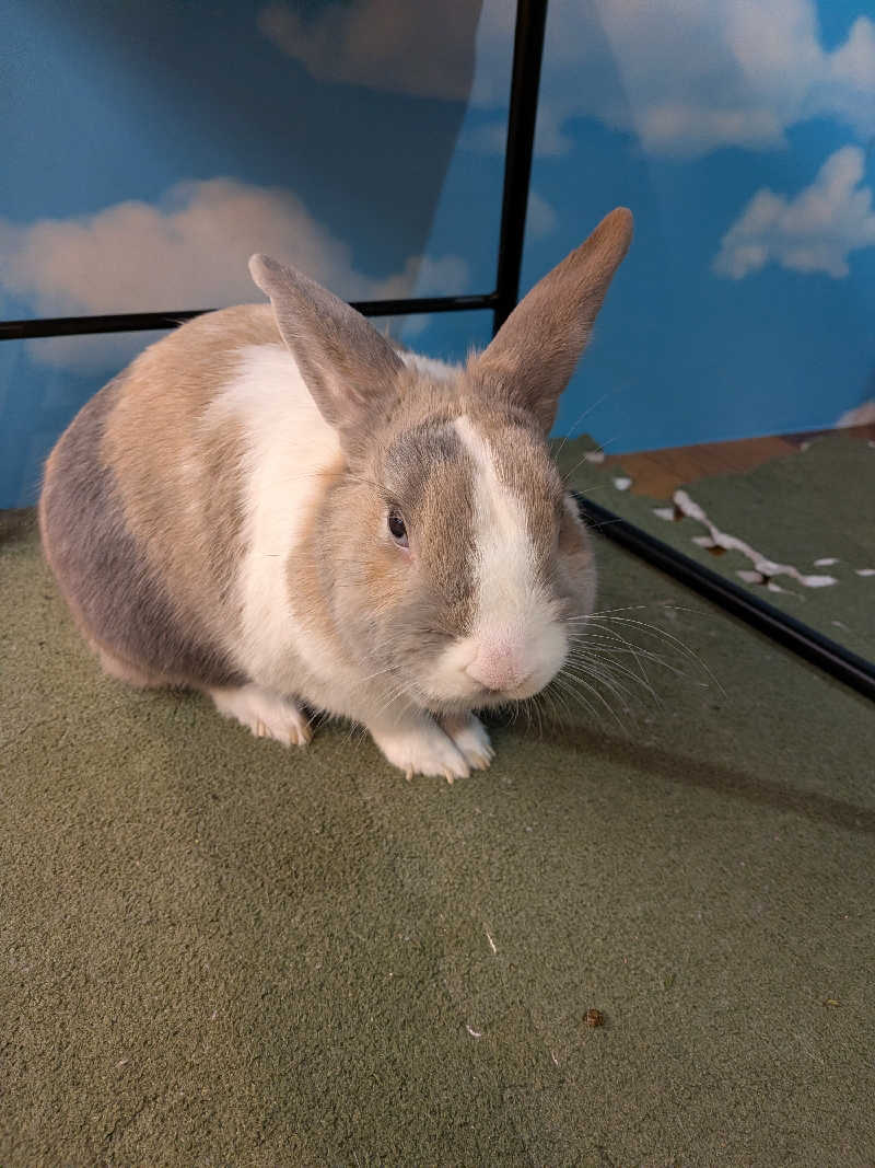 黒岩圭介さんのアクアリゾート 岐阜ふじの湯のサ活写真