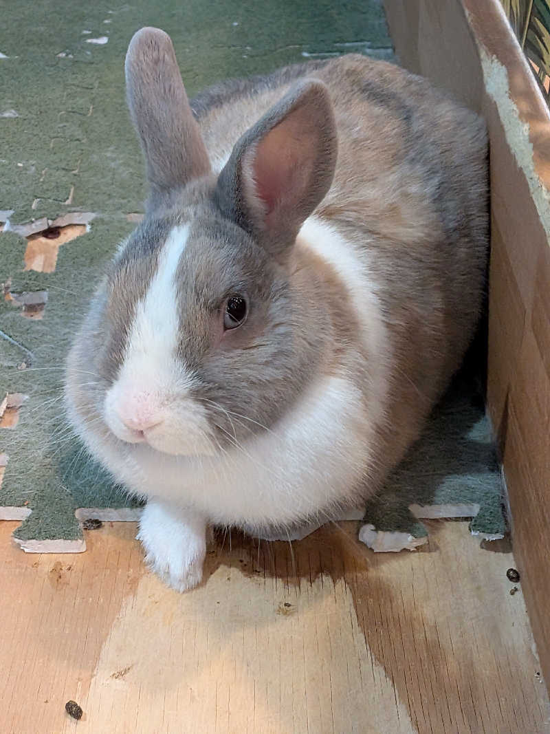 黒岩圭介さんのアクアリゾート 岐阜ふじの湯のサ活写真