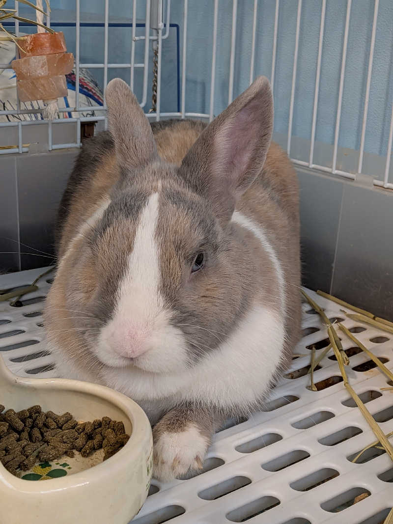 黒岩圭介さんのアクアリゾート 岐阜ふじの湯のサ活写真