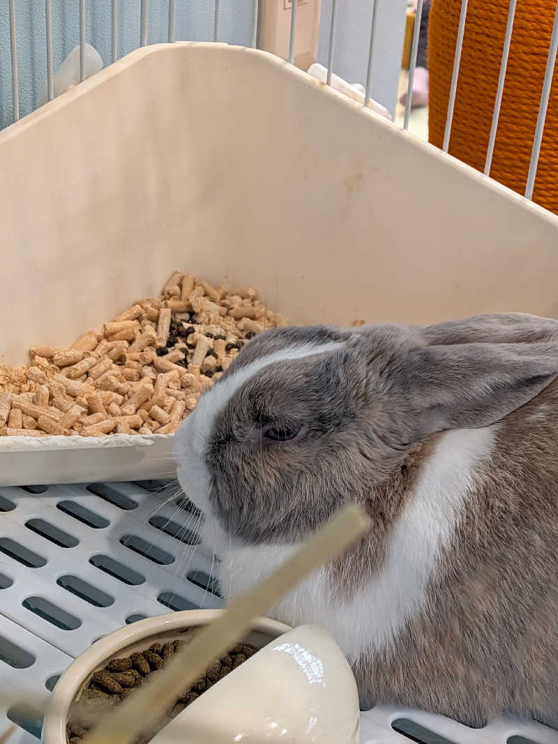 黒岩圭介さんのアクアリゾート 岐阜ふじの湯のサ活写真