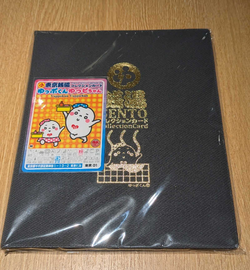 まいさんの辰巳湯のサ活写真