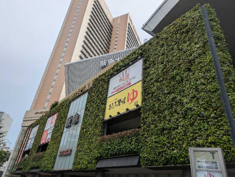 まいさんのおふろの王様 大井町店のサ活写真