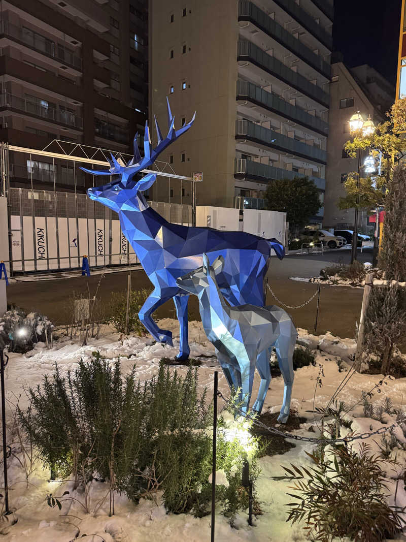 JTRさんの豊島園 庭の湯のサ活写真