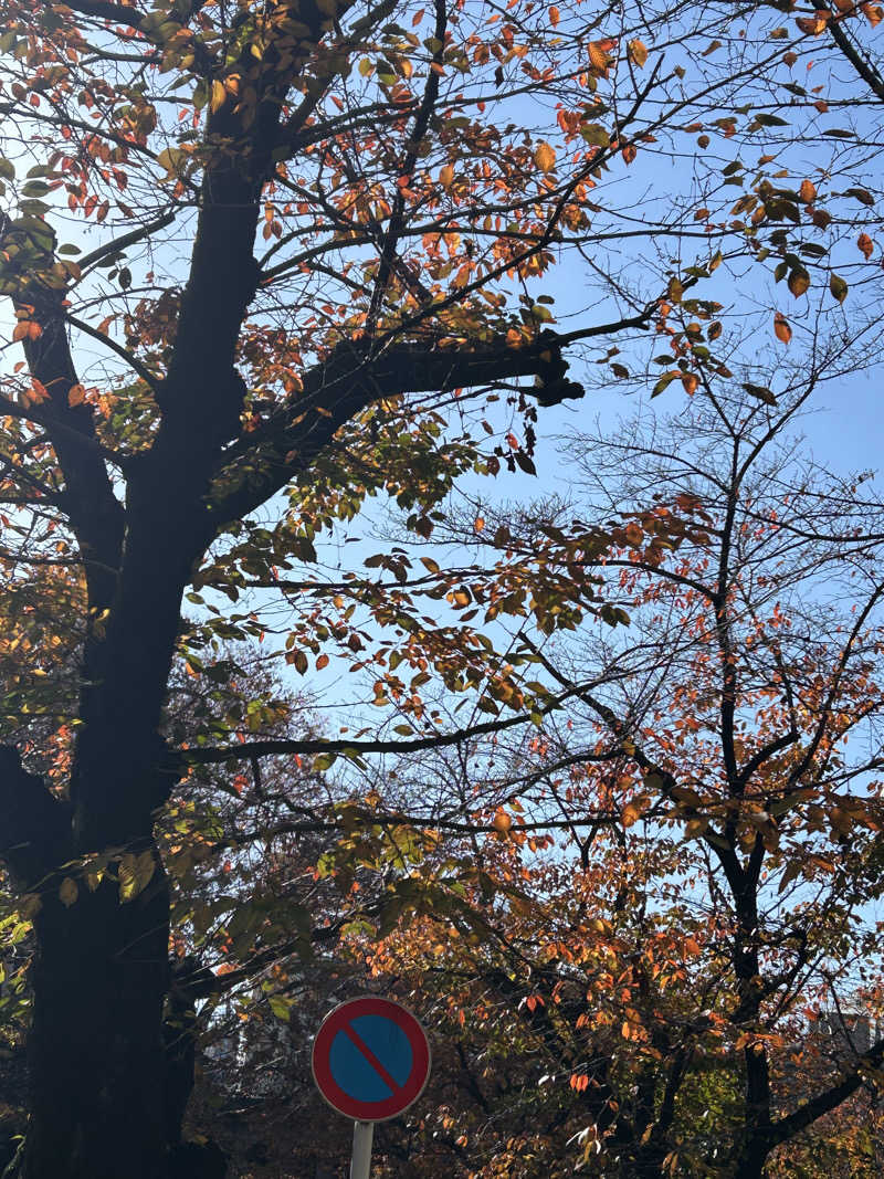 めぐりんさんのCOCOFURO かが浴場のサ活写真