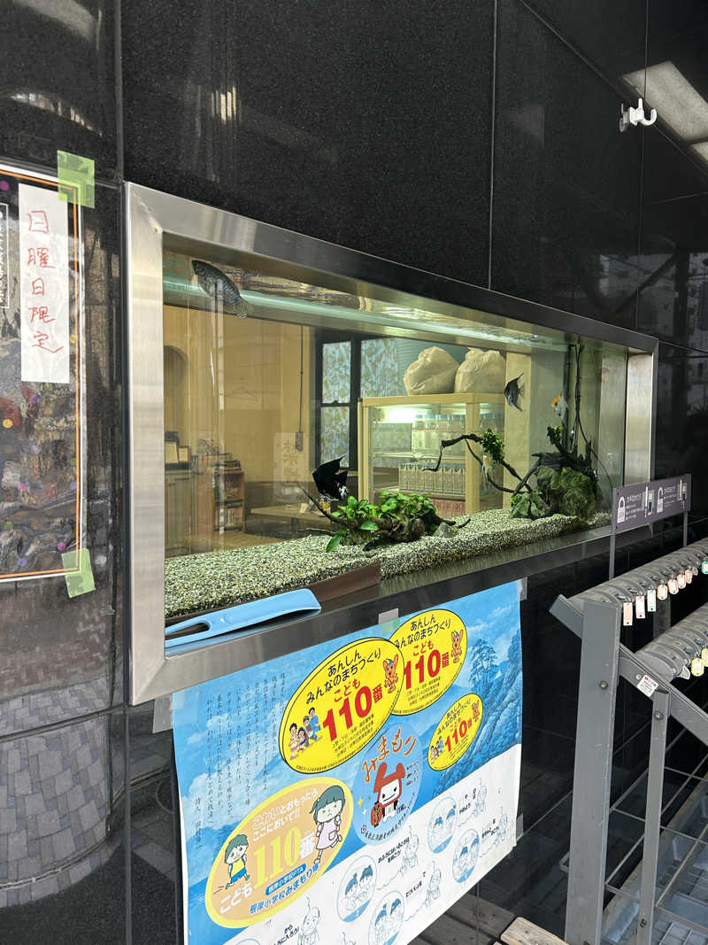 めぐりんさんの宝泉湯のサ活写真