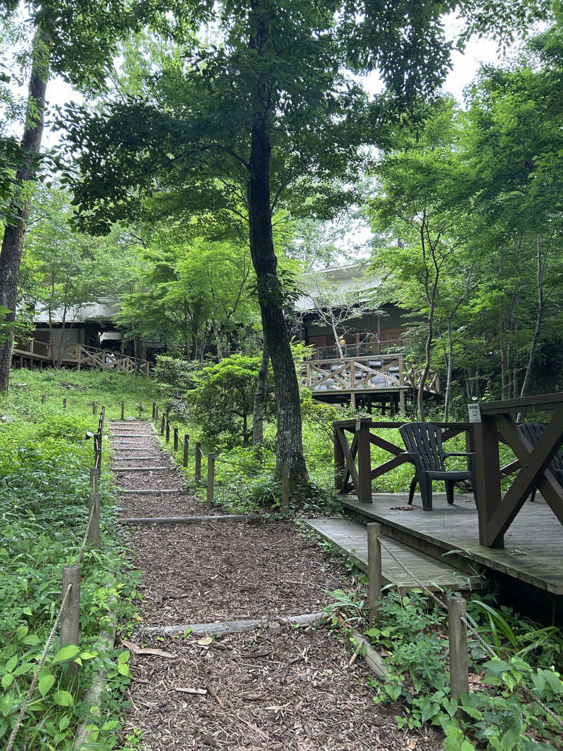 めぐりんさんのモダン湯治 おんりーゆーのサ活写真