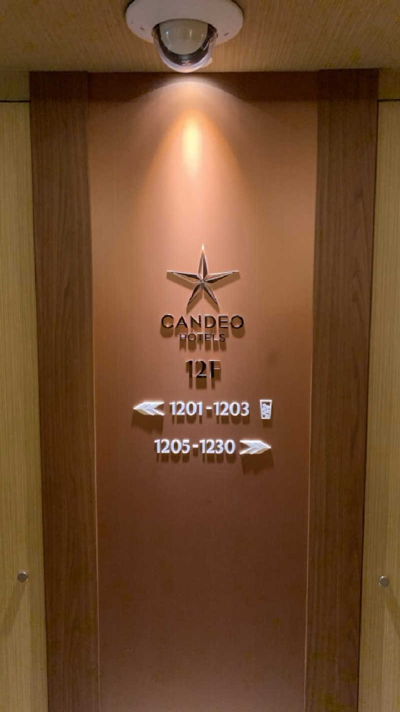 栃木のSAUNARさんのカンデオホテルズ大宮のサ活写真