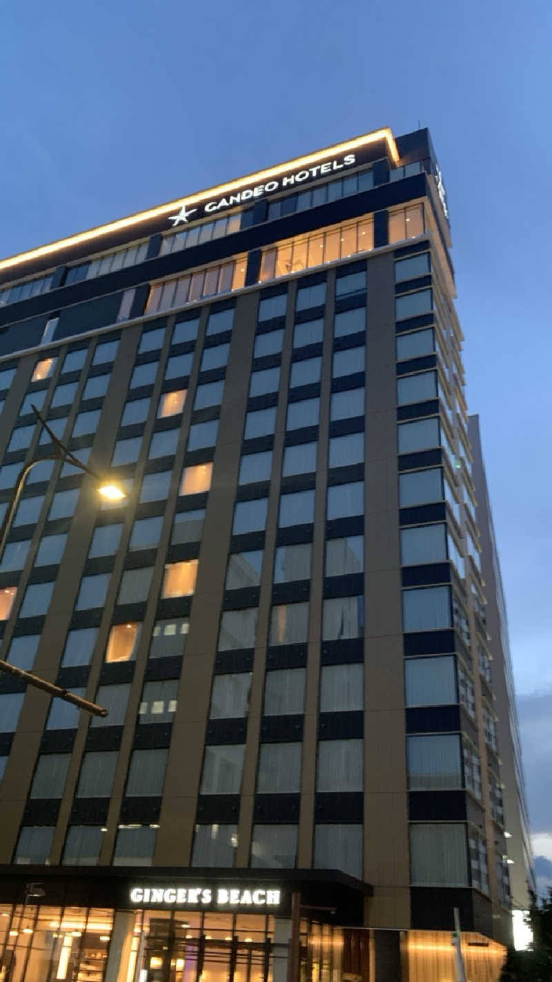 栃木のSAUNARさんのカンデオホテルズ大宮のサ活写真