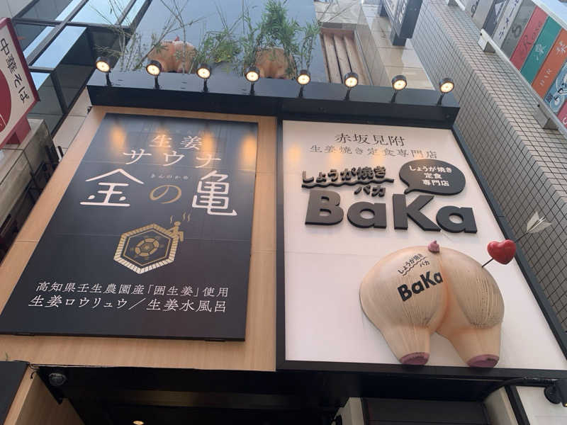 栃木のSAUNAR〜出稽古中さんの生姜サウナ 金の亀のサ活写真