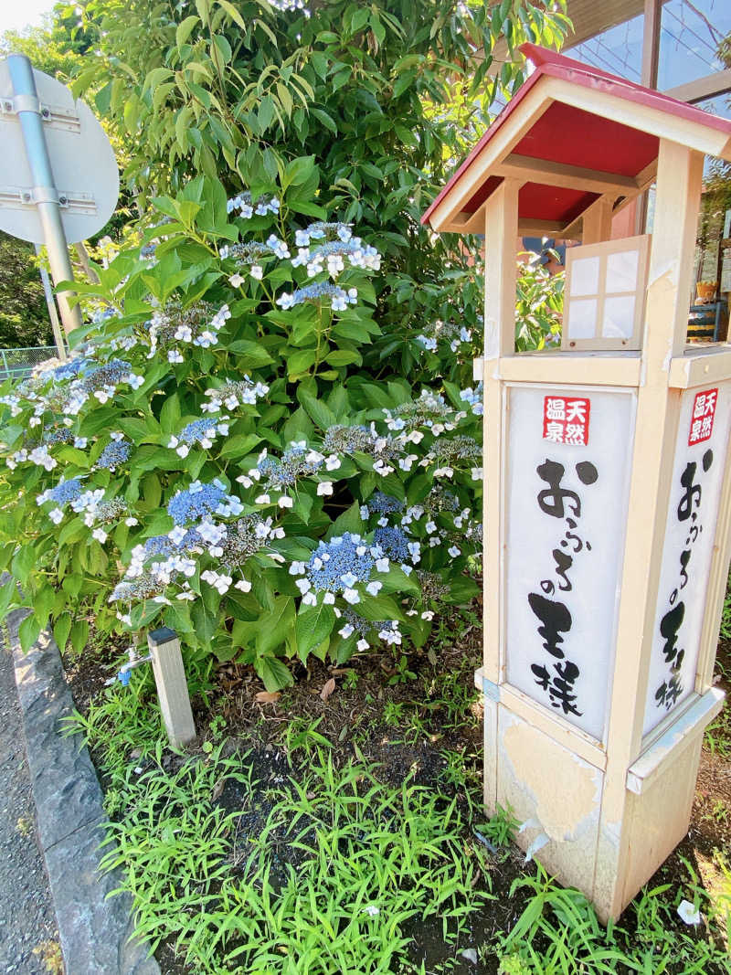 じゅりあーの〄さんのおふろの王様 花小金井店のサ活写真