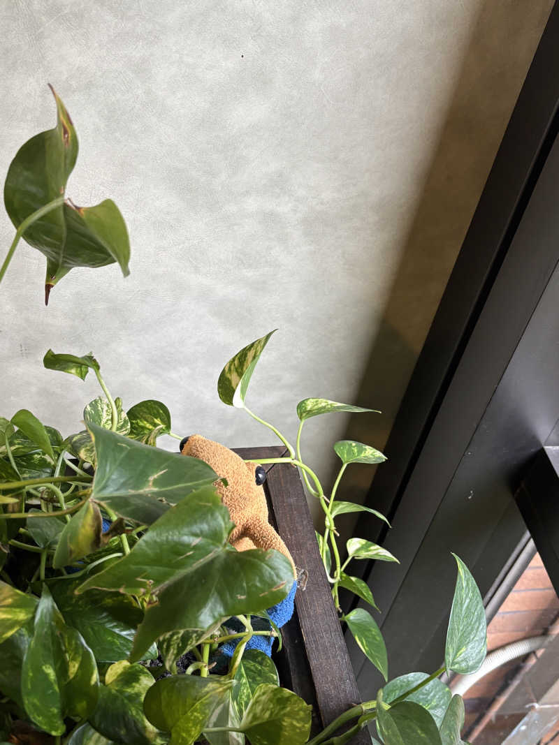 すしさんのアンダリゾート伊豆高原のサ活写真