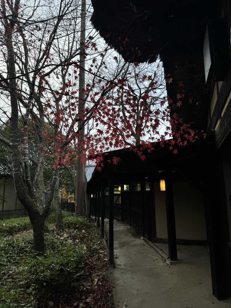 あかりん🌝🍑さんの宿房 翡翠之庄のサ活写真